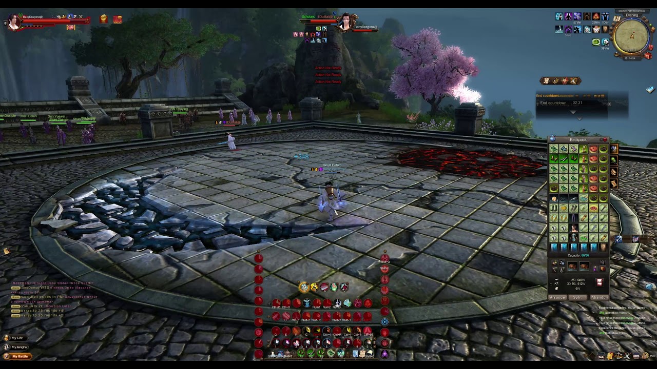 03/08/2021 - Age of Wushu - Blue Dragon - Sky Ladder Series 9 - I rootless you !