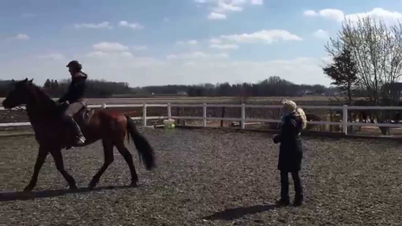 28.03.2015 Sitzkorrektur im Galopp re Hand - Unterricht Irene Raab-Hinrichs