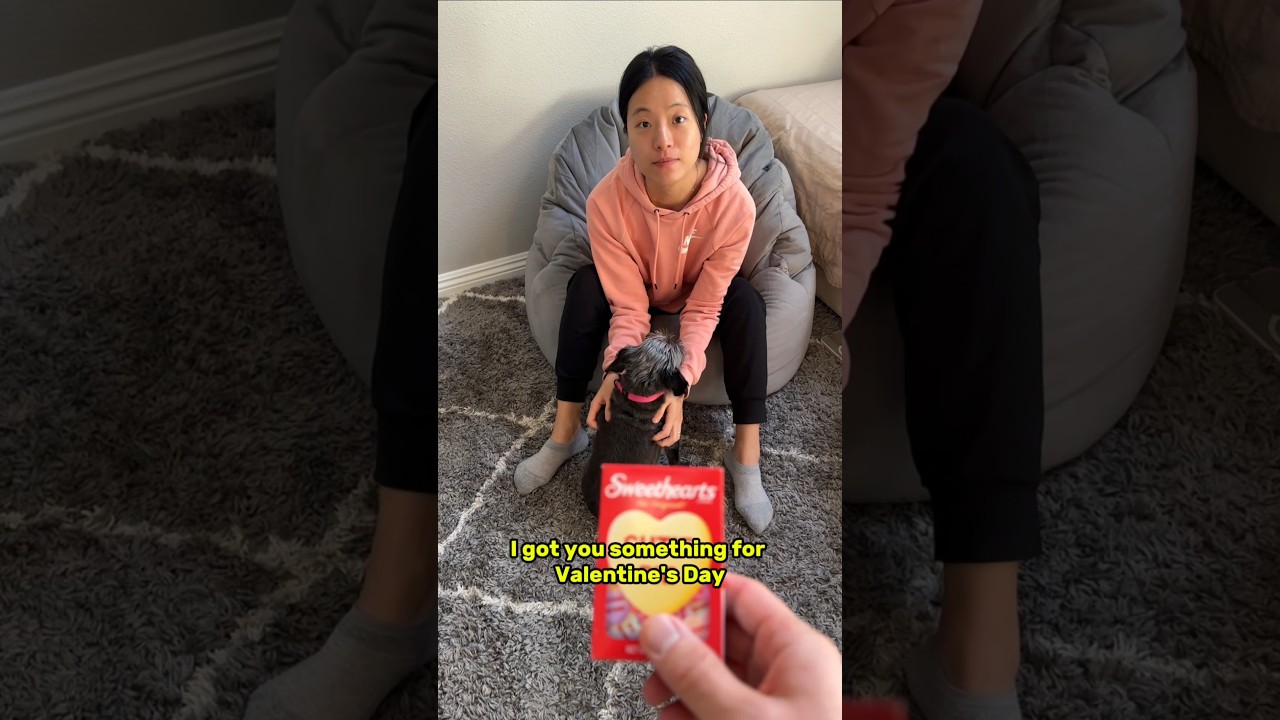 Valentine's gift mix up 😳 #dogmom #doggifts #valentinesday