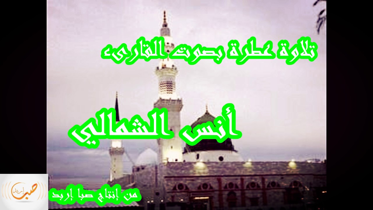 تلاوة عطرة بصوت القارىء أنس الشمالي