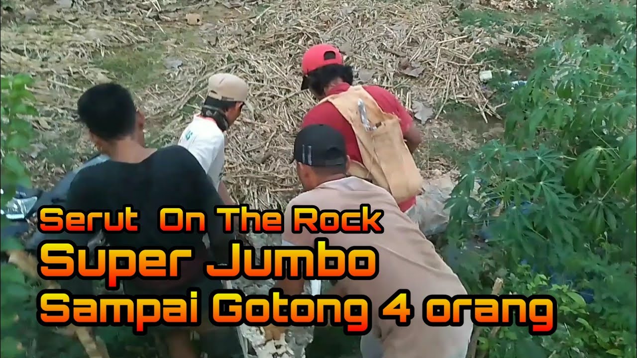 Serut  Super Jumbo On The Rock Original