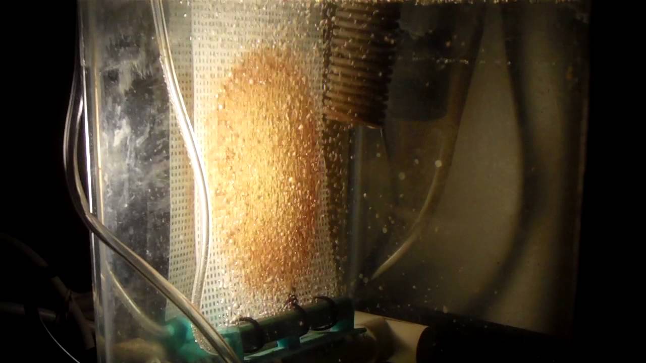 Upflow algae scrubber update