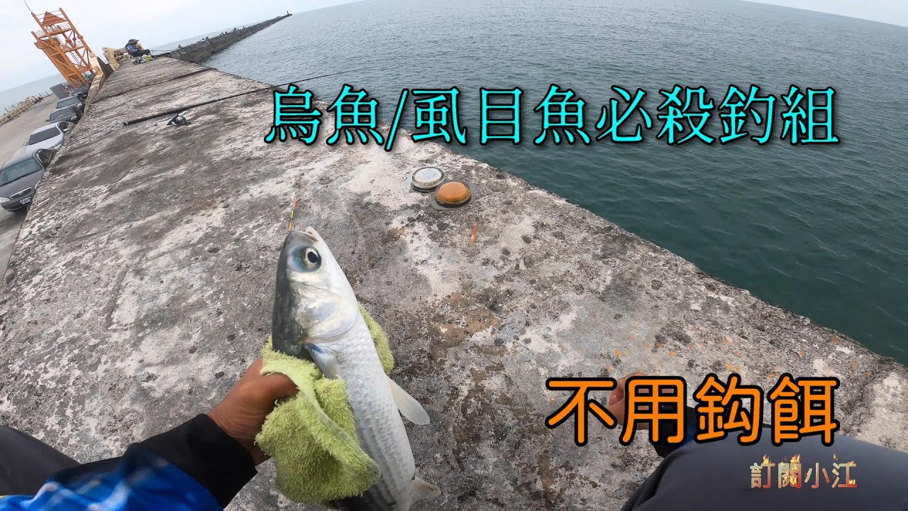 (教學)不用鈎餌的必殺釣組專攻虱目魚/烏魚 珠仔鈎釣組/金珠釣組綁法分享以及用法解說 #南投小江 #釣魚 #Taiwan Fishing