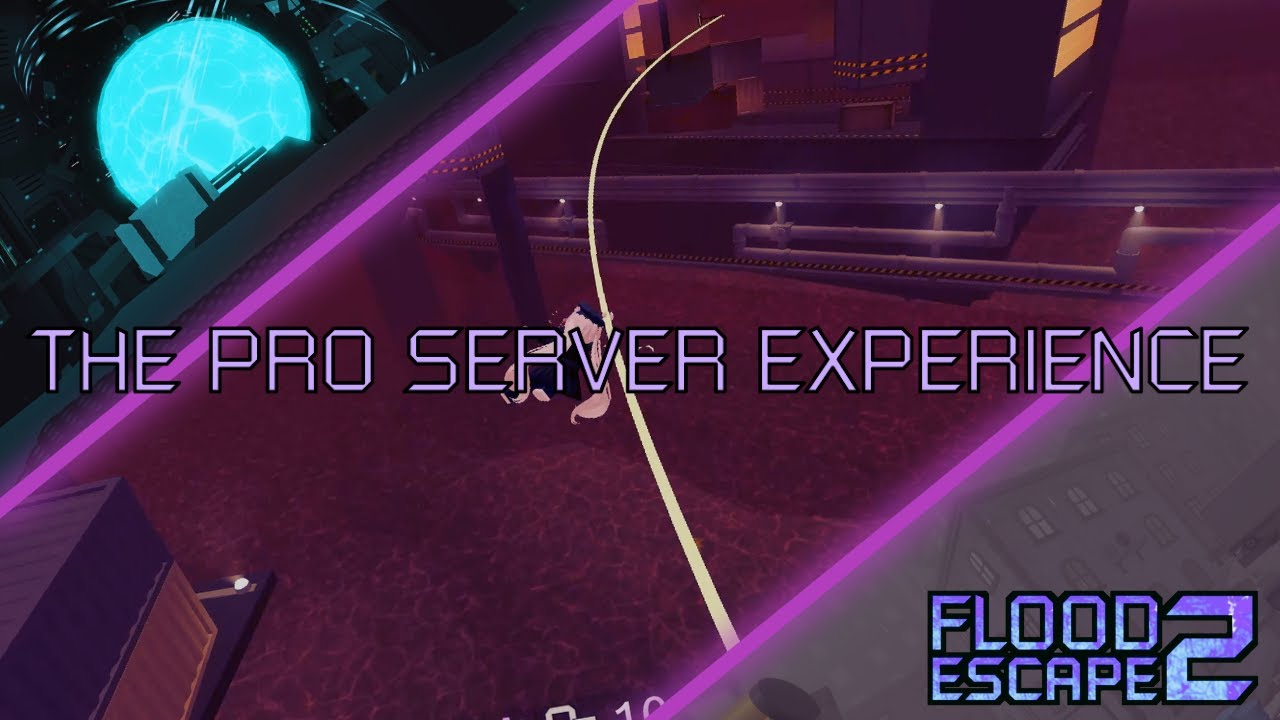 [FE2] My pro server experience...