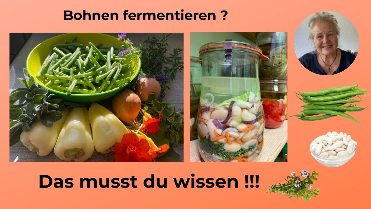 Bohnen für den Winter haltbar machen. Bohnen fermentieren? Wie geht das?