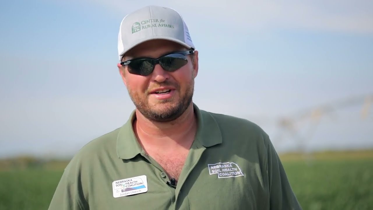 Voices of Agriculture - Interseeding