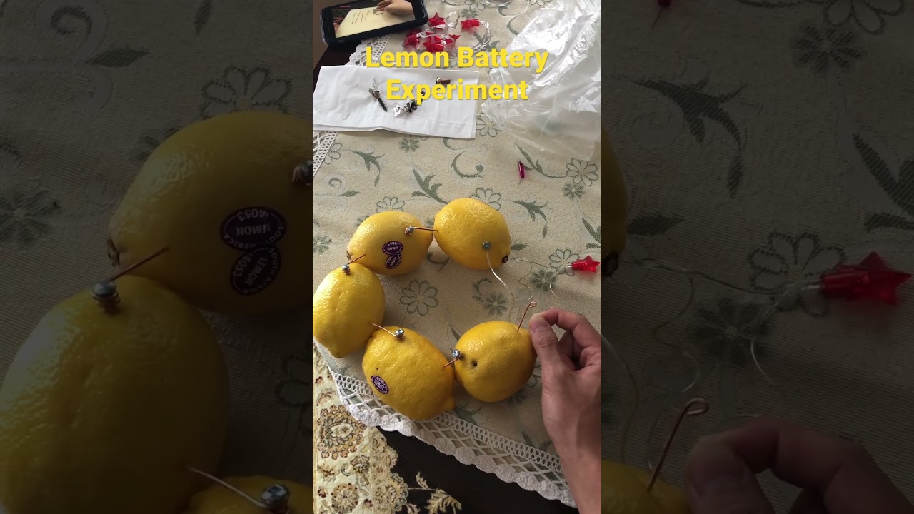 Lemon Battery Experiment (Physics 30 SDS)