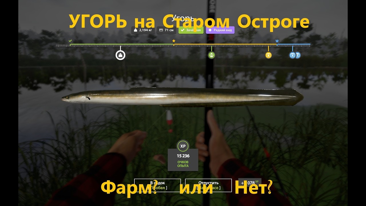 РР4.В ожидании трофейного угря на мах