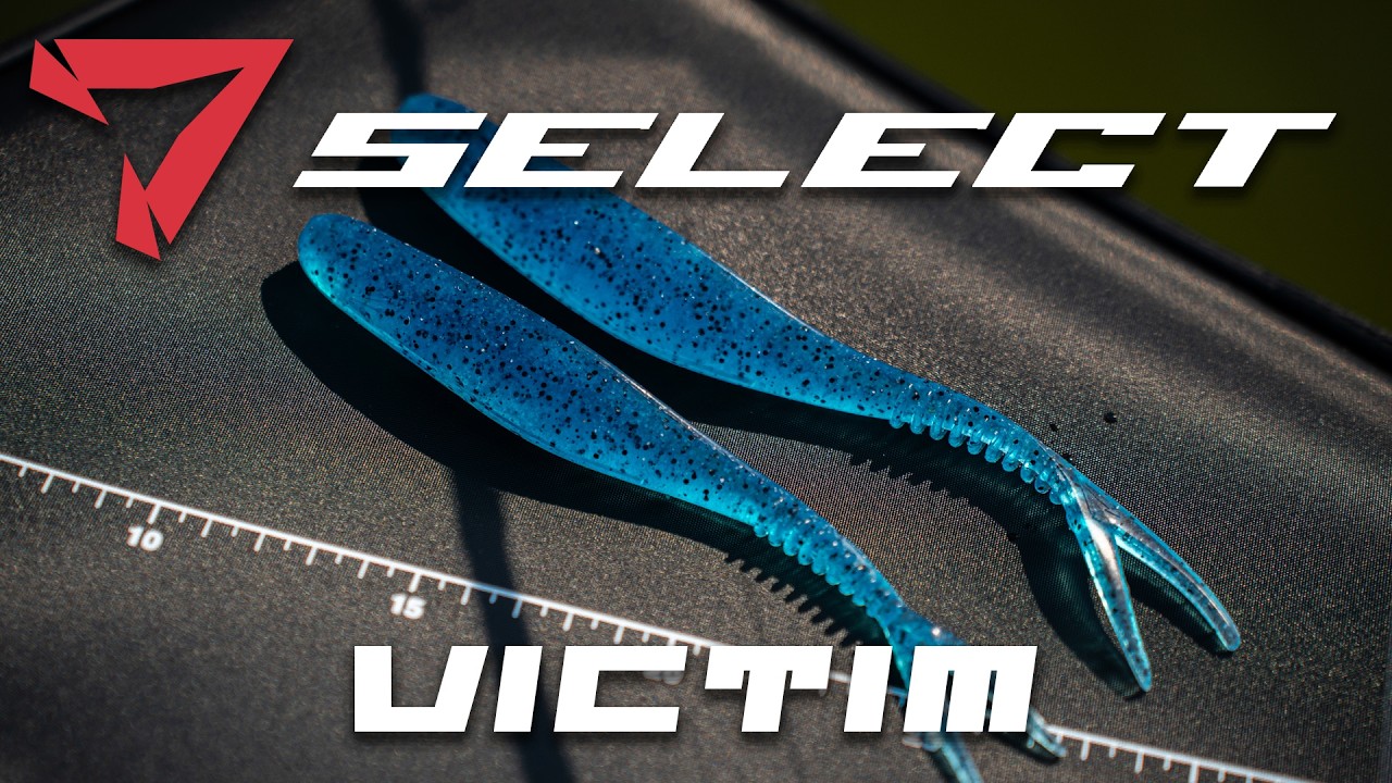 Jaskółka - Select Victim