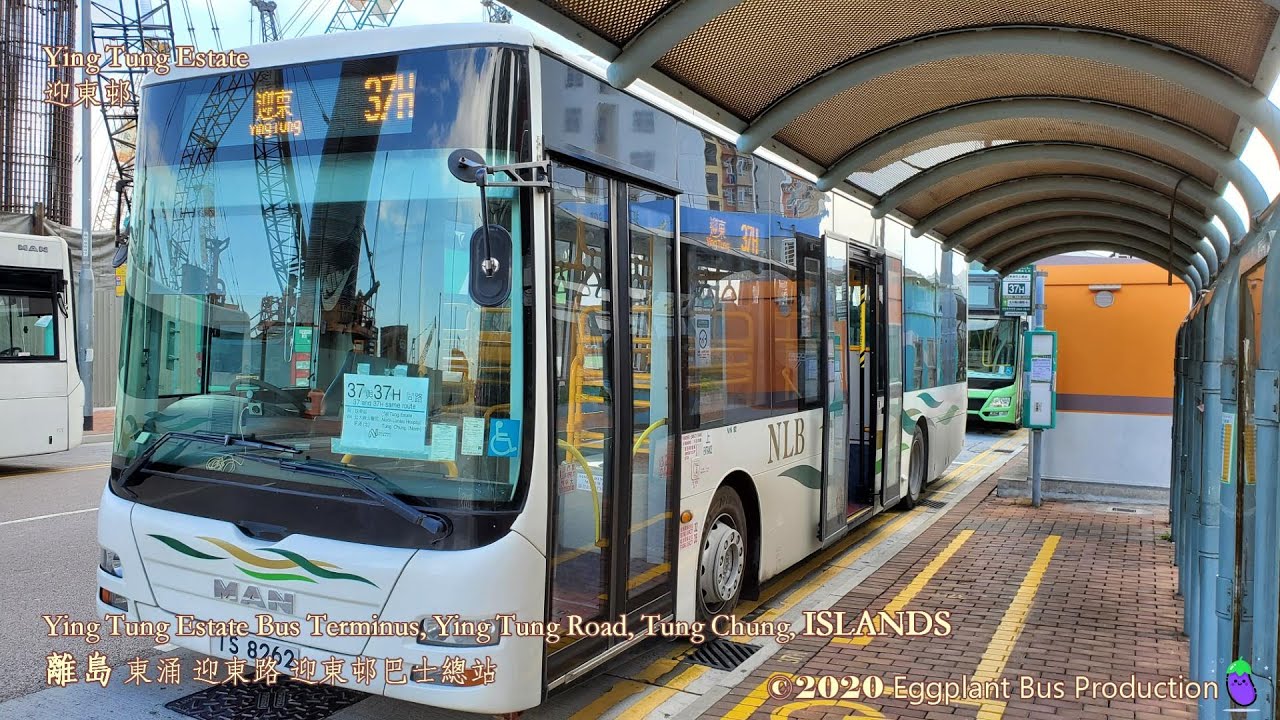 【最後的循環】🇭🇰Hong Kong Bus NLB 37H NM92 @TS8262 Ying Tung Estate 🍆North Lantau Hospital 嶼巴 迎東邨🍆北大嶼山醫院