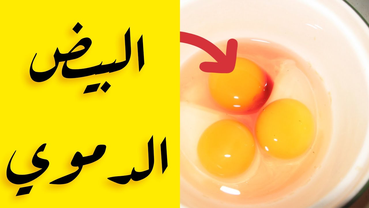 البيض الدموي - البيض فيه دم 😱😱😱