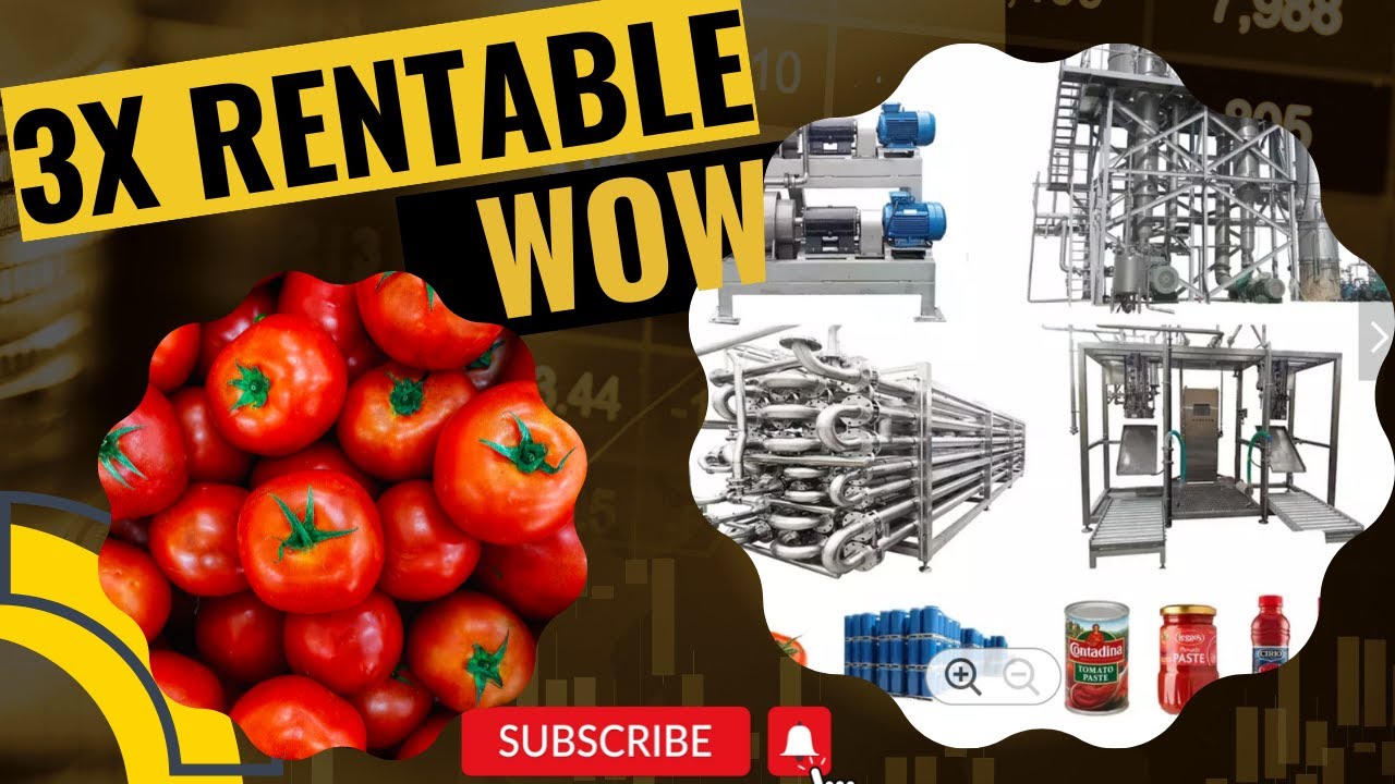 Transformation des tomates en Pâte, ketchup purée ou en sauce concentrée  usine ligne complète.