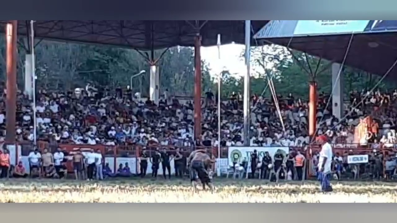 2022 YILI 661. TARİHİ KIRKPINAR BAŞPEHLİVANI DEĞİŞTİ..YENİ BAŞPEHLİVAN MUSTAFA TAŞ..