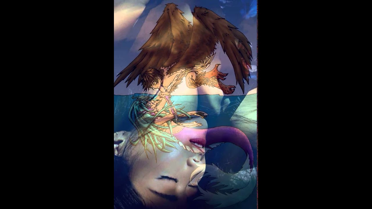 Yunggiema song (鱼鸟恋之- 央吉玛)
