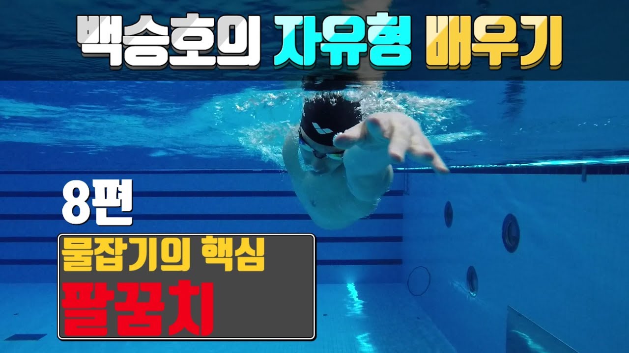 SHC 수영_[8편]_자유형물잡기_백승호의 자유형 배우기