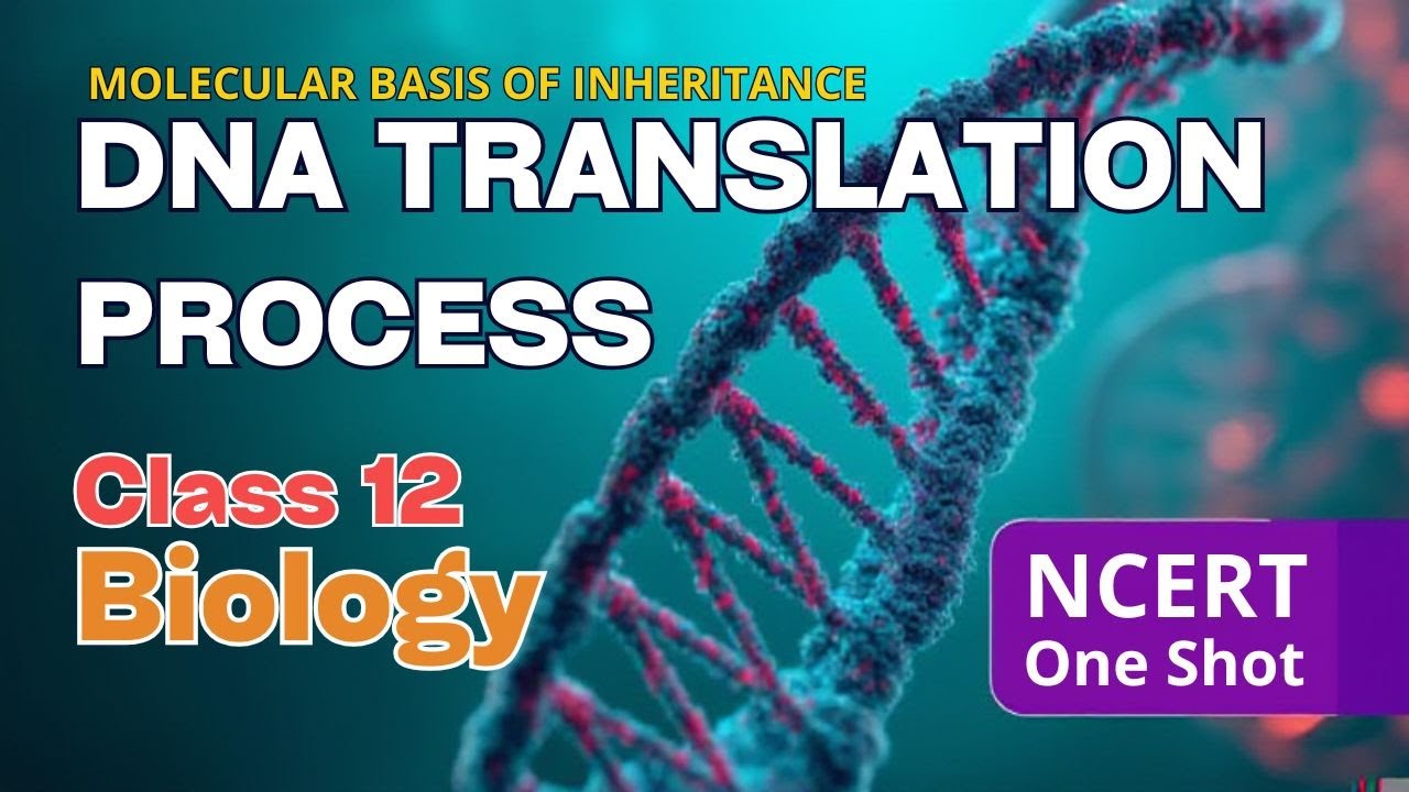 Translation (Protein Synthesis) Explained | NCERT Line by Line | Class 12 Biology Chapter 6