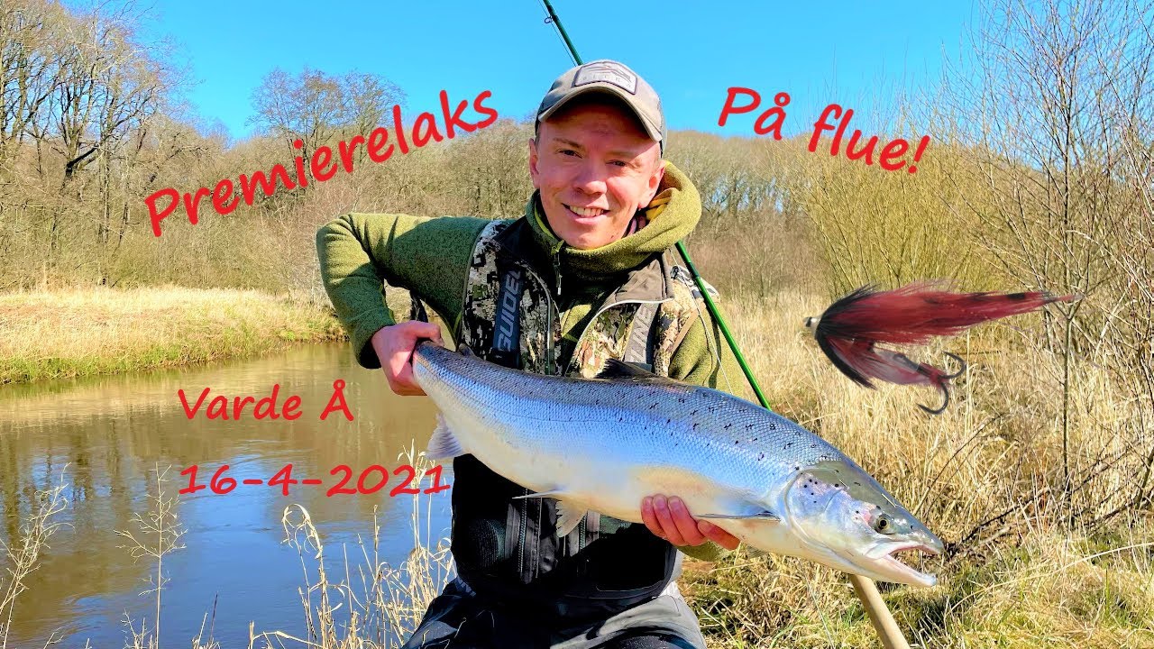 Fluefanget premierelaks fra Varde Å