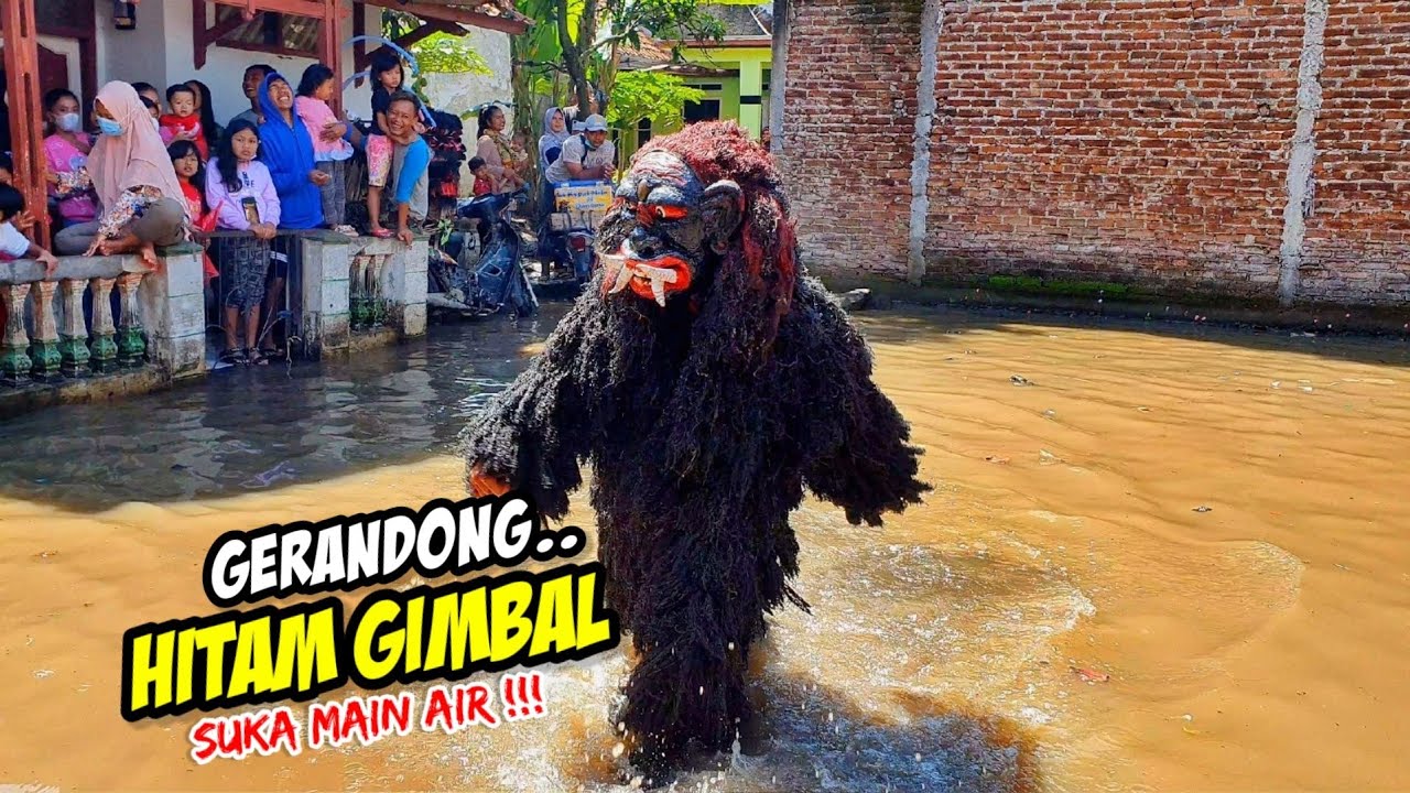 GERANDONG GIMBAL KEBANJIRAN❗❗ KUDA LUMPING PUSAKA GALUR MANUNGGAL (PGM) 💥LEMBUR KURING