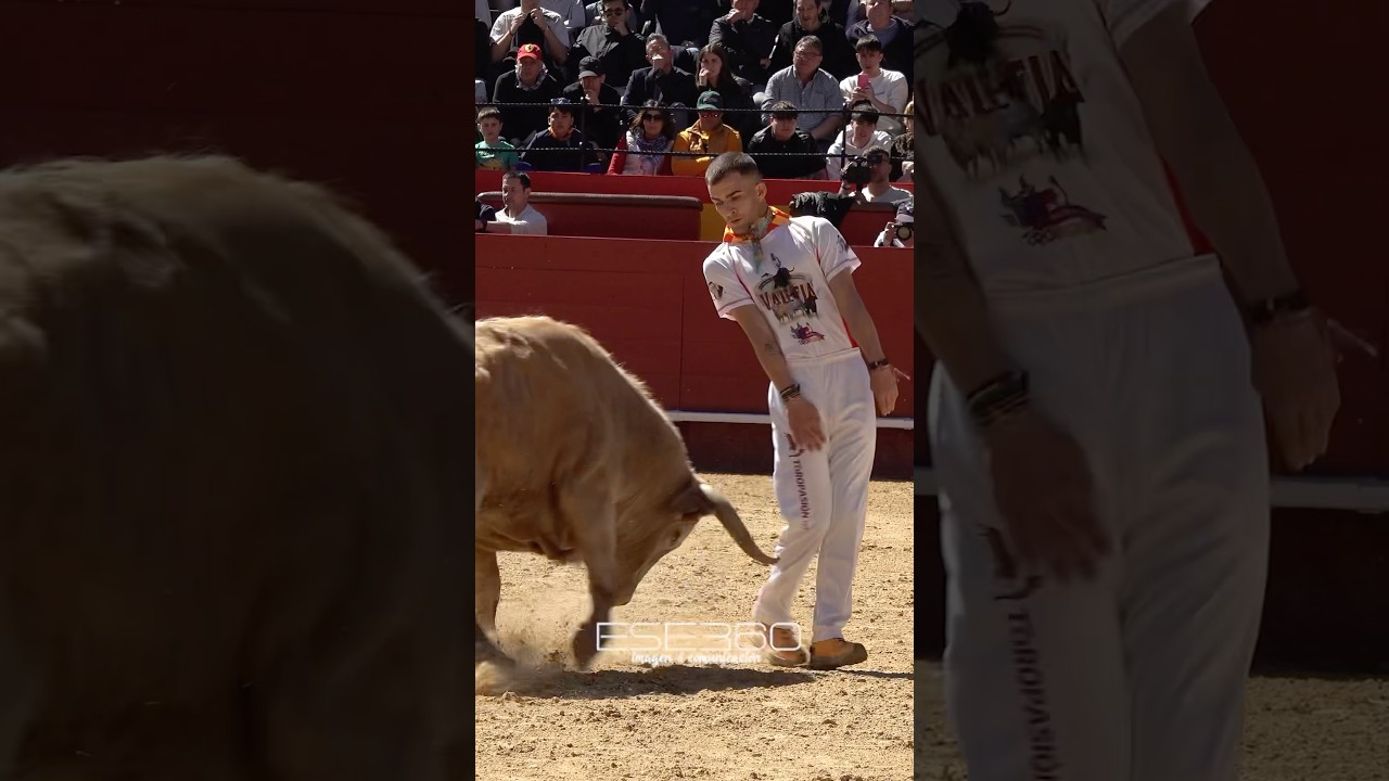 🏆 CAMPEÓN DE FALLAS 2025 🔥 “EL RUSO” 