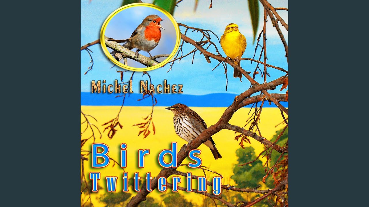 Birds twittering