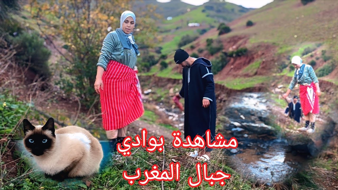 هكذا يكون أجواء بعد تساقط الأمطار الخنادق والماء يجري بقريتنا 🌧️