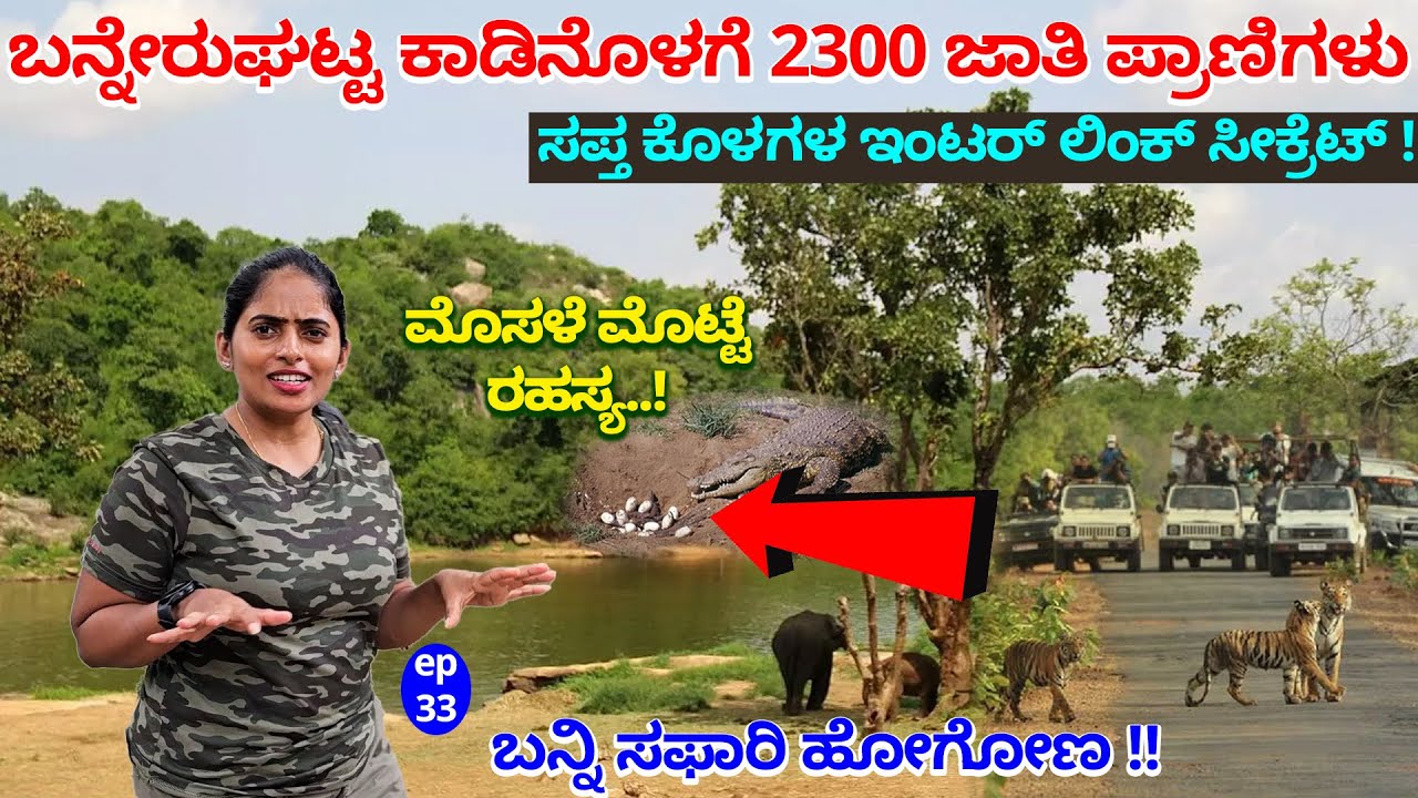 2300 ಪ್ರಾಣಿಗಳ ನೋಡಲು ಬನ್ನೇರುಘಟ್ಟ ಕಾಡಿನ ಸಫಾರಿ ಹೊರೆಟೆವು-Crocodile Life Style-BANNERGHATTA ZOO SAFARI-33