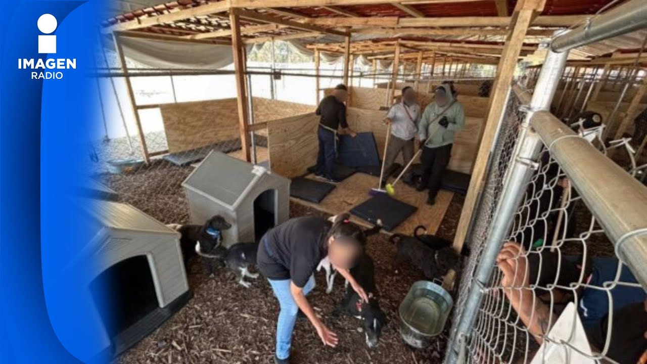 MC logra amparo para proteger a animales del Refugio Franciscano