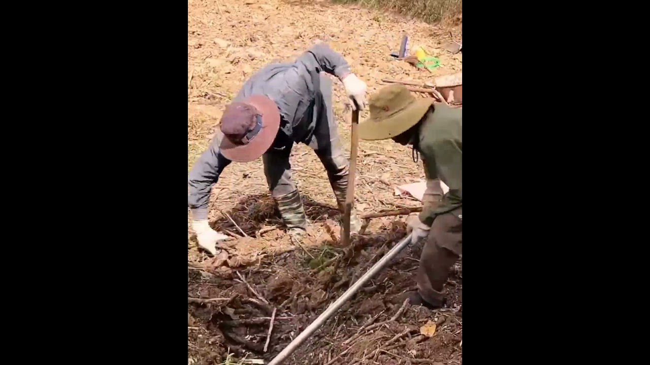 Отец-одиночка возвращается домой, чтобы начать новую жизнь со своей дочерью.