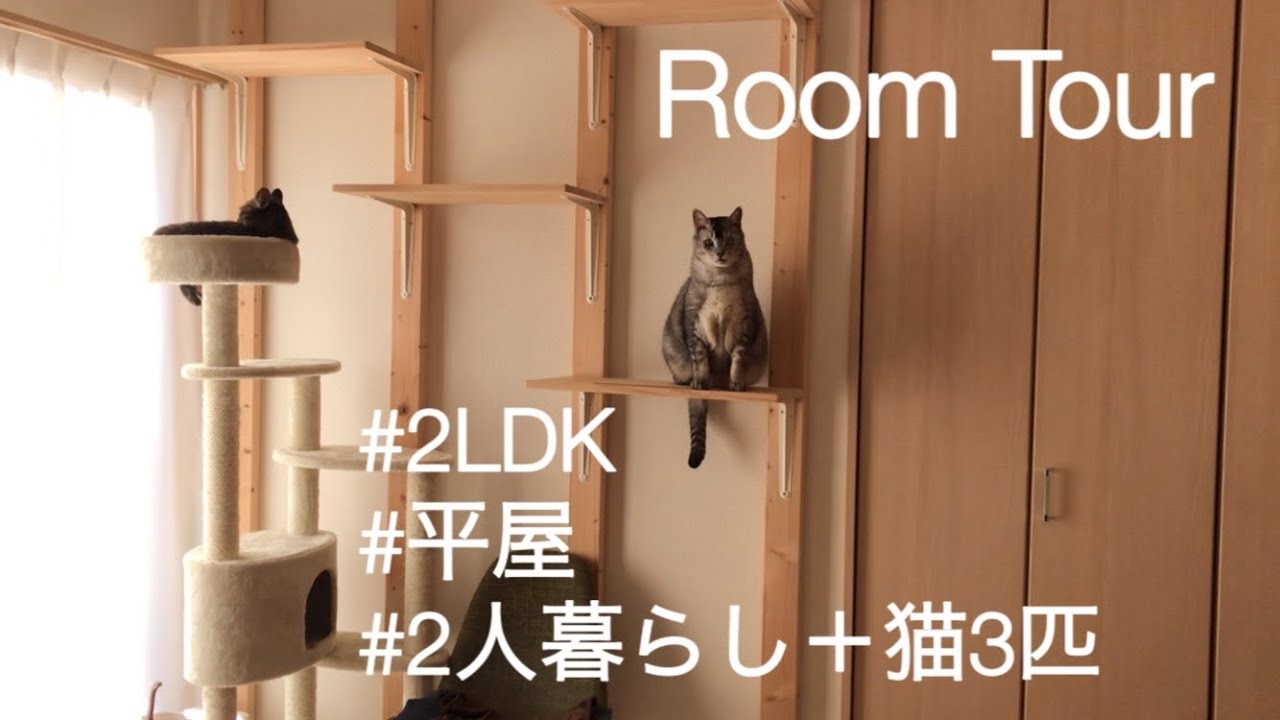 【ルームツアー】18坪の小さな平屋で保護猫3匹と暮らす