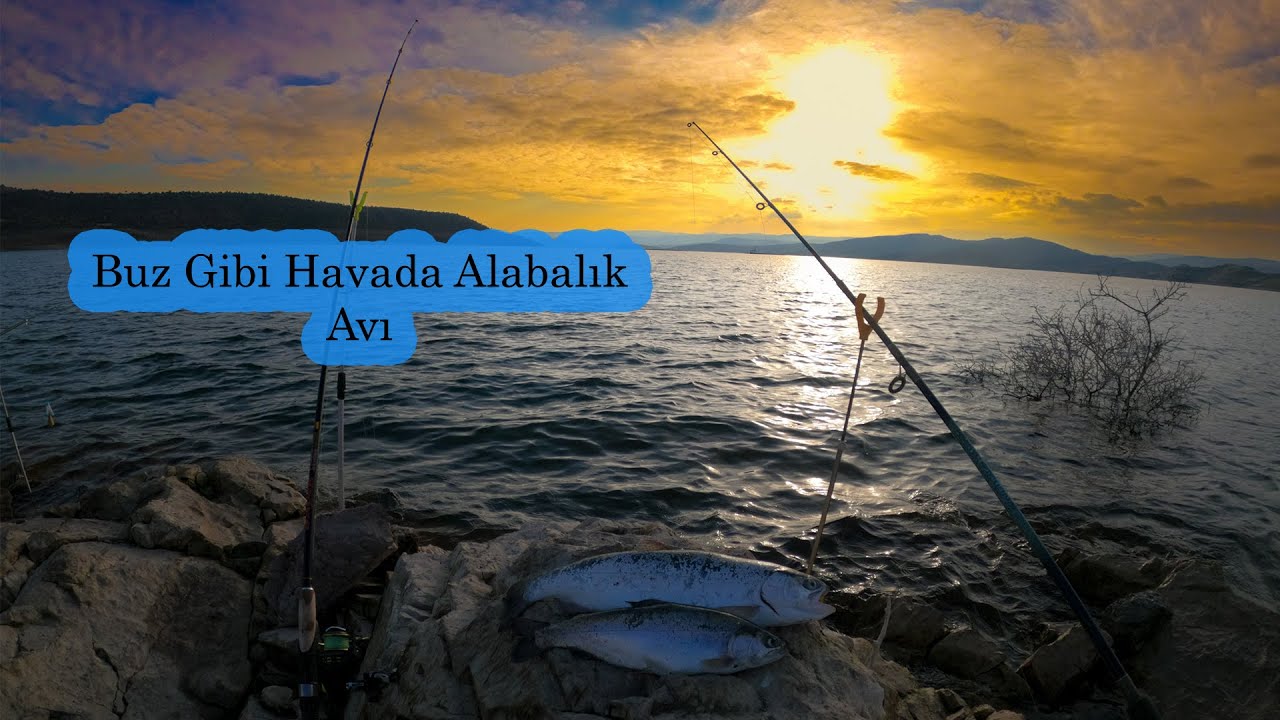 Yozgat Çekerek Süreyya Bey Barajı Alabalık Avı!!