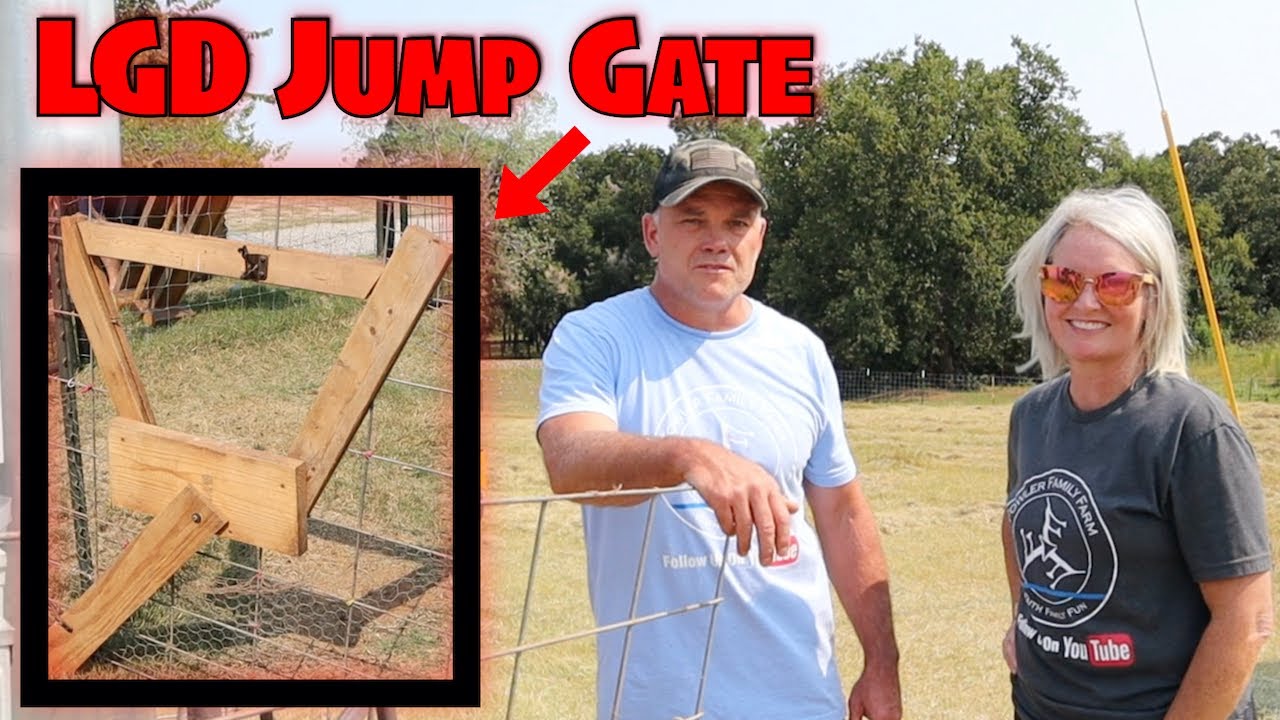 Livestock Guard Dog Feed Station with Jump Gate