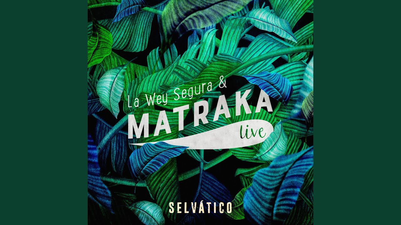 Selv&aacute;tico