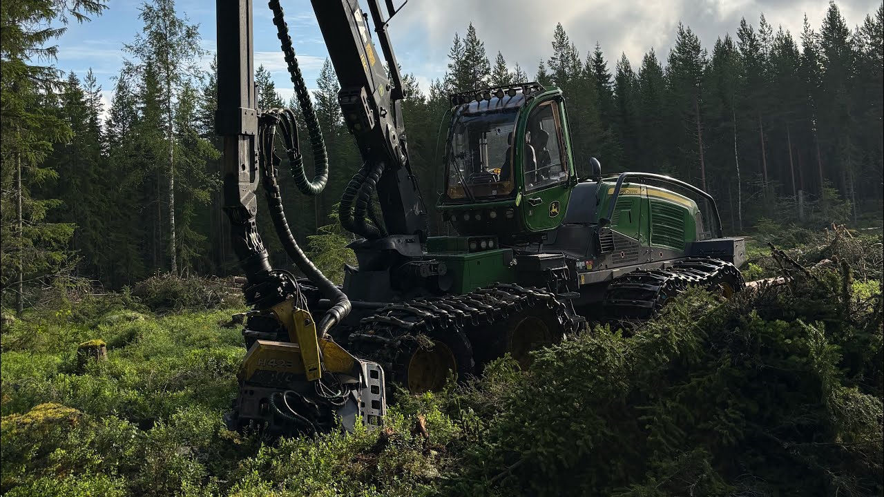 John Deere 1170G Early morning final felling!