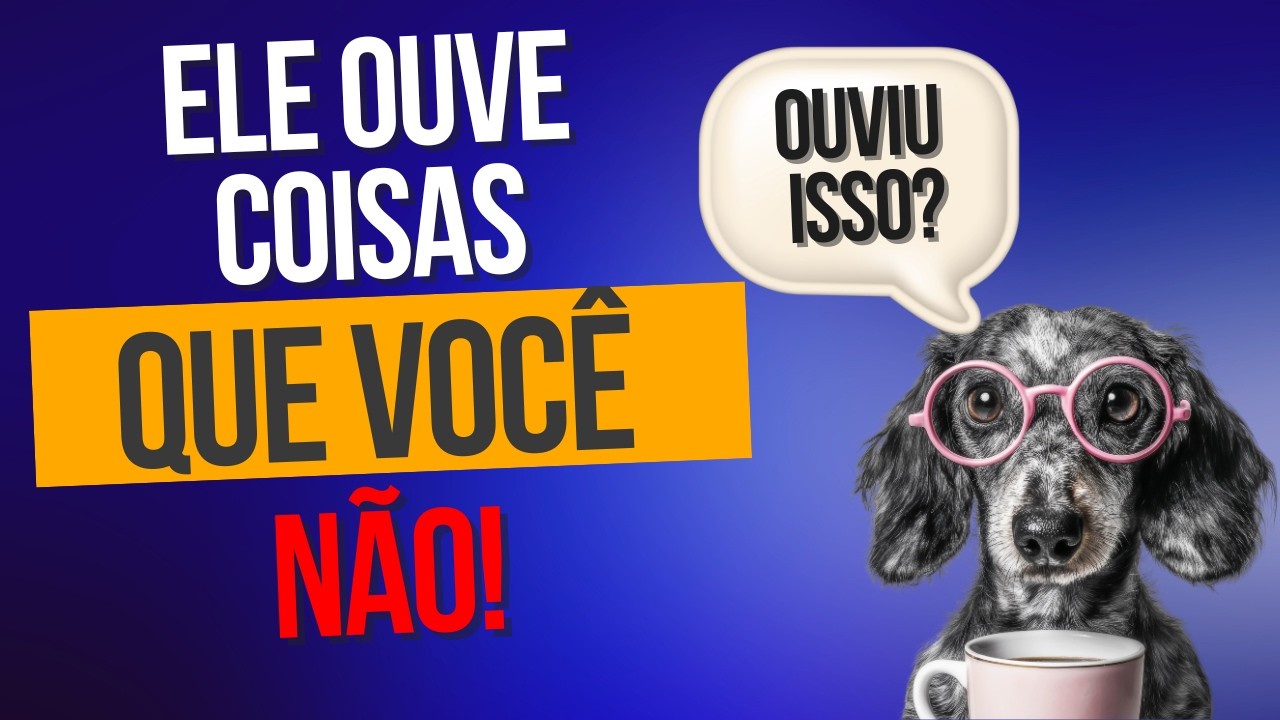 POR QUE SEU CACHORRO LATE “DO NADA”? A NEUROCIÊNCIA EXPLICA