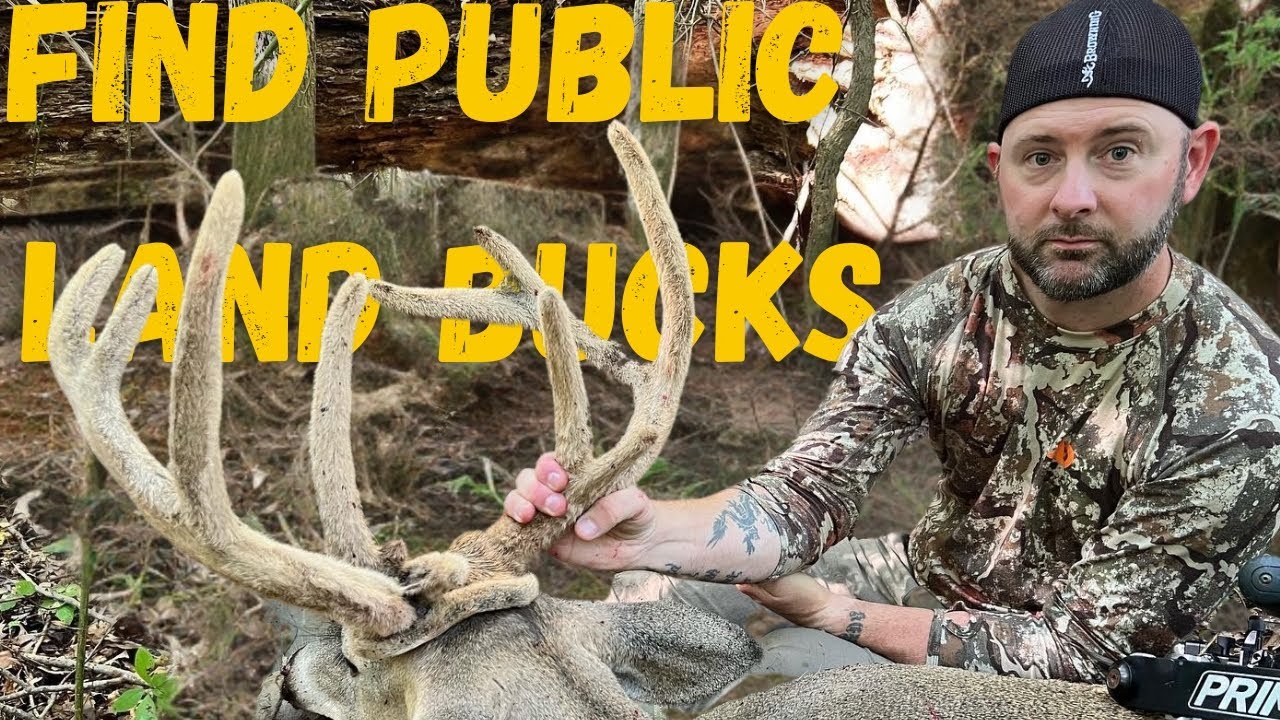 Hunting Pressure Hotspots: Finding Hidden Public Land Bucks