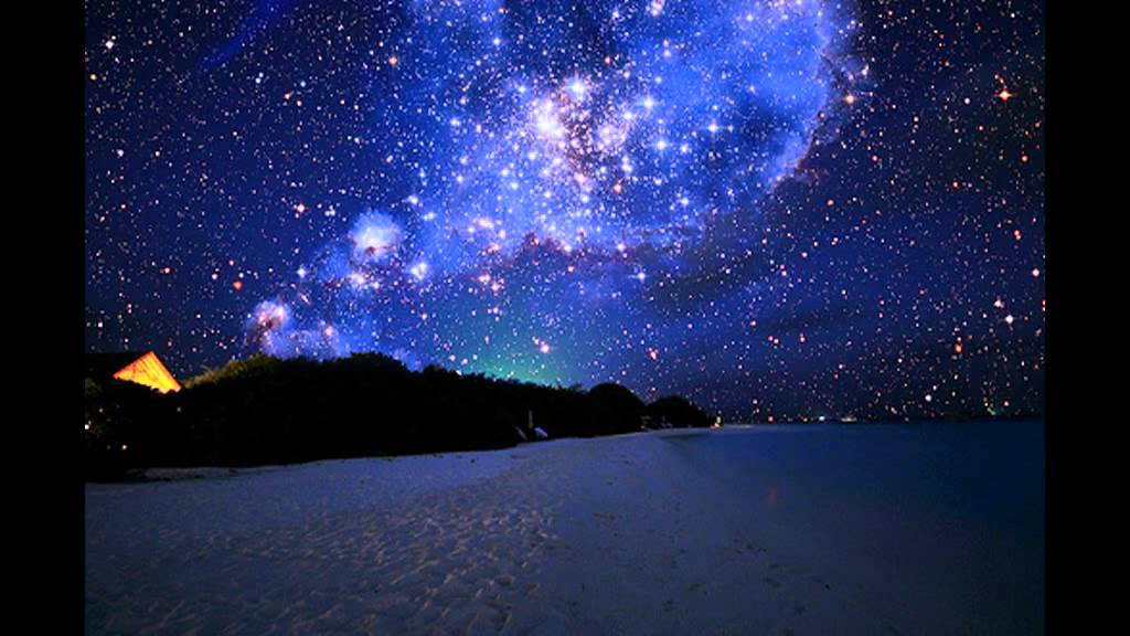 Canis-Nightwax (Perception Remix)