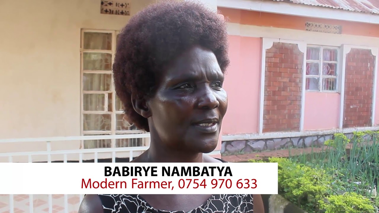 ENGERI YO'KULIMA OBUTUNGULU E'WAKA- Modern Home Farming.