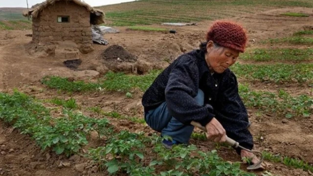 Szokująca Codzienność w KRLD &ndash; Tak Żyją w Nędzy Naprawdę!