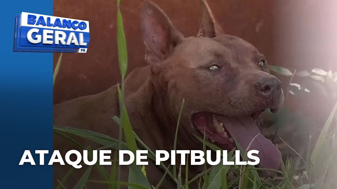 Homem é socorrido em estado grave após ser atacado por dois cachorros da raça Pitbull, no PR