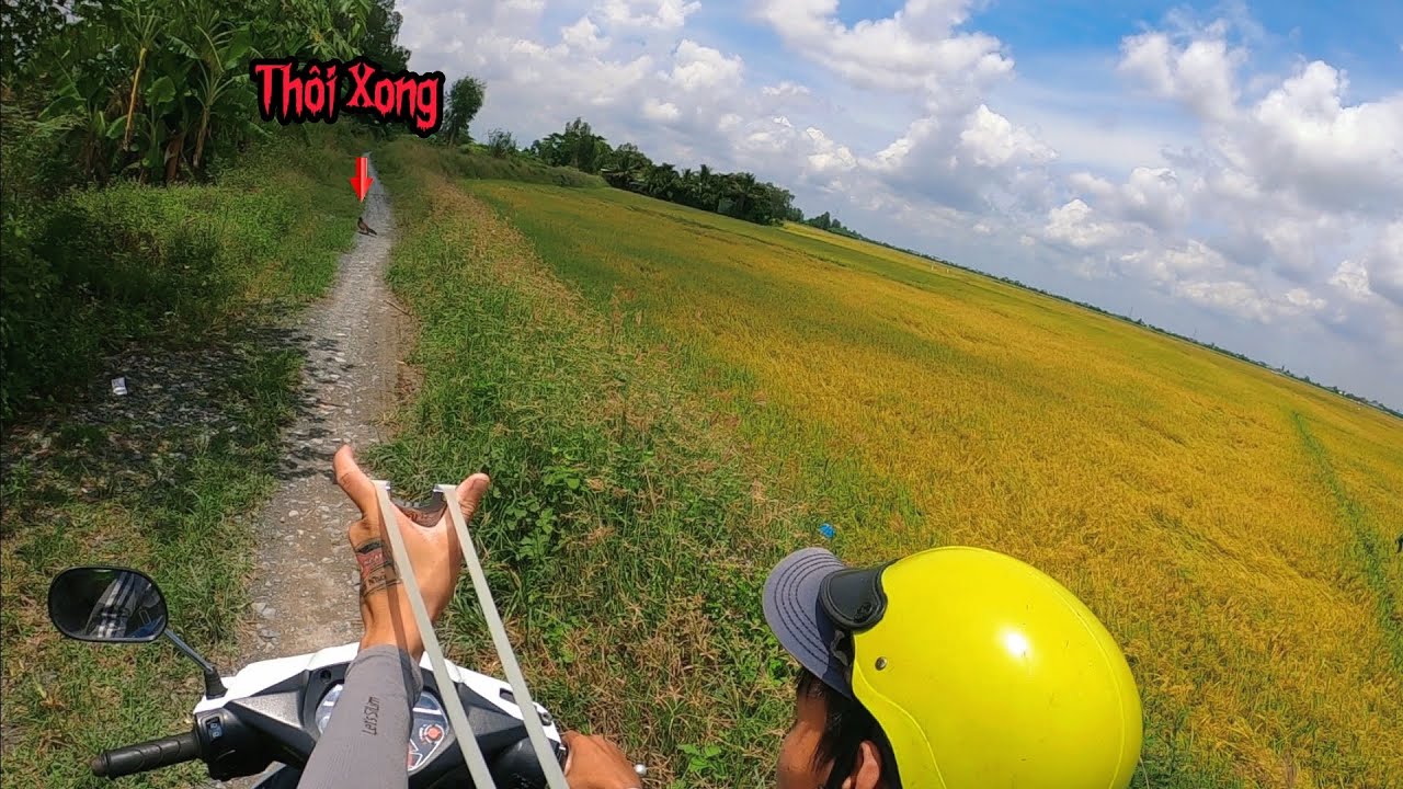 Tuấn Nhỏ || Lấy Ná F1 Đi Săn Hạ Gần 3Kg Chim Khủng .....