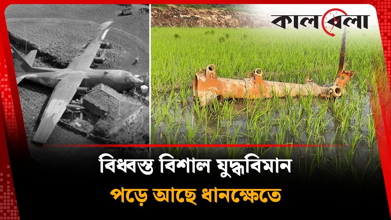 বিলের মাঝে পড়ে আছে বিশ্বযুদ্ধের বিধ্বস্ত যুদ্ধবিমান | World War Plane | Kalbela News