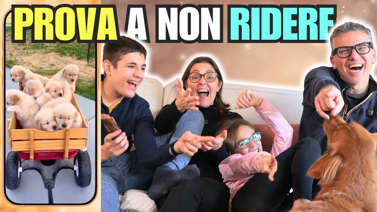 REAGIAMO AI VIDEO DI CANI DIVERTENTI: Prova a Non Ridere con Golden Retriever