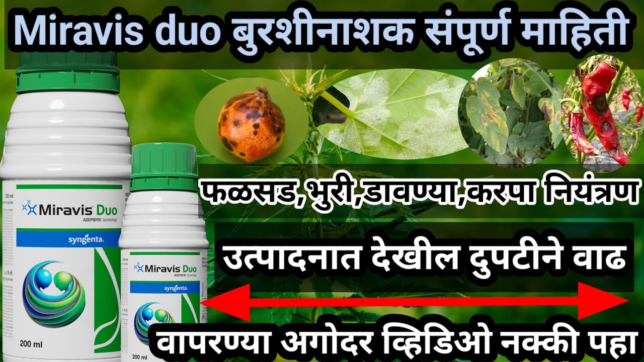 Miravis duo बुरशीनाशक माहिती|miravisduo fungicide #syngentafungicide#miravis@AapliShetiAaplshivarD 