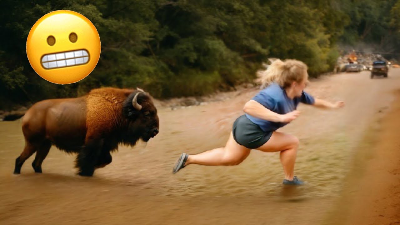 Try Not to Laugh Challenge #9 🤣 Best Fails of the week