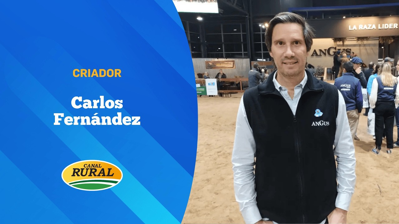 En Estados Unidos vendieron en 250 mil u$s el 50% de un toro con genética argentina