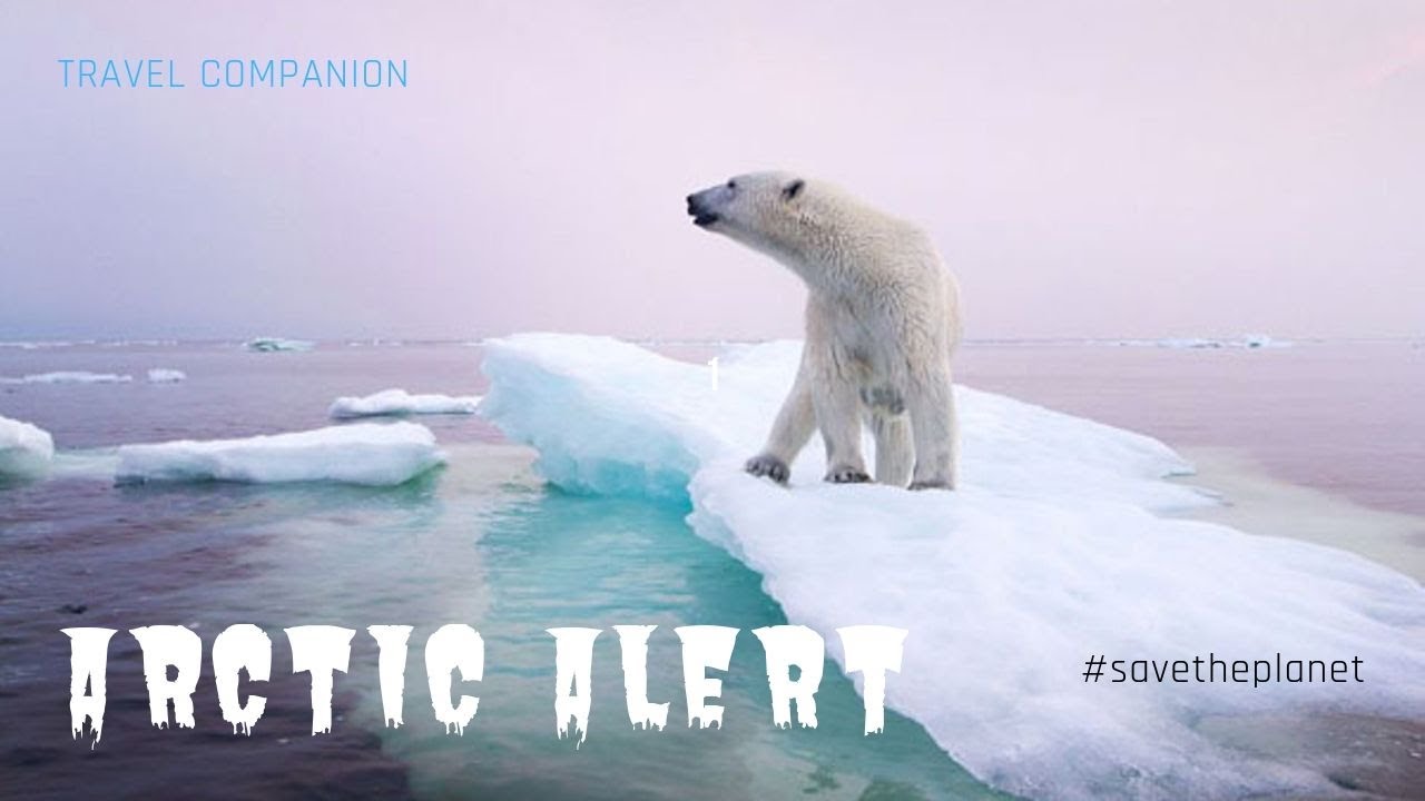Arctic Alert | Save the Planet | Climate Crisis| Climate Change | Global Warming