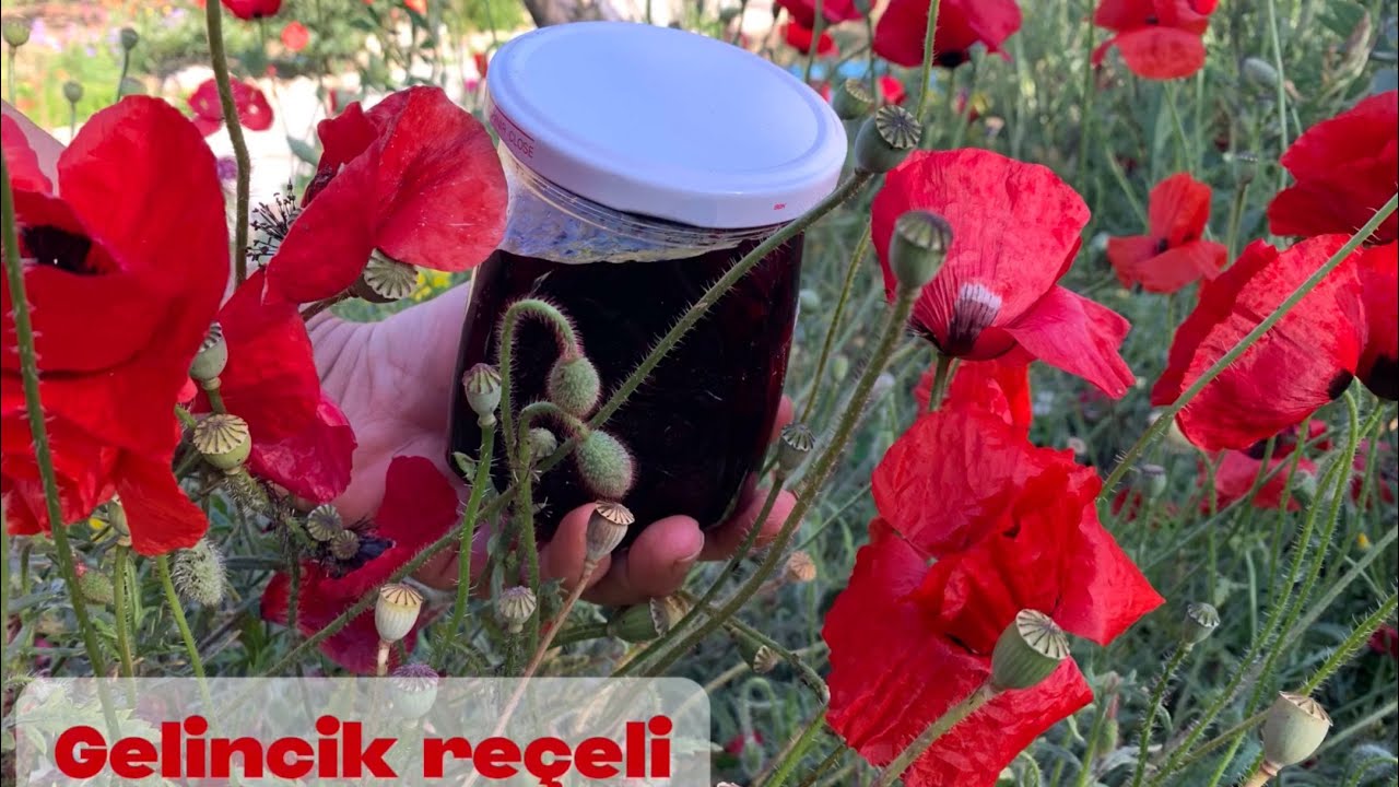 Gelincik reçeli nasıl yapılır/gelincik reçeli/gelincik reçeli tarifi