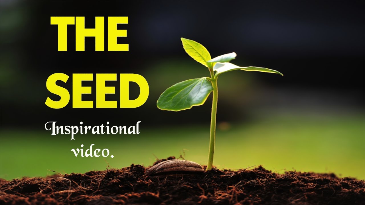 THE SEED INSPIRATIONAL VIDEO.