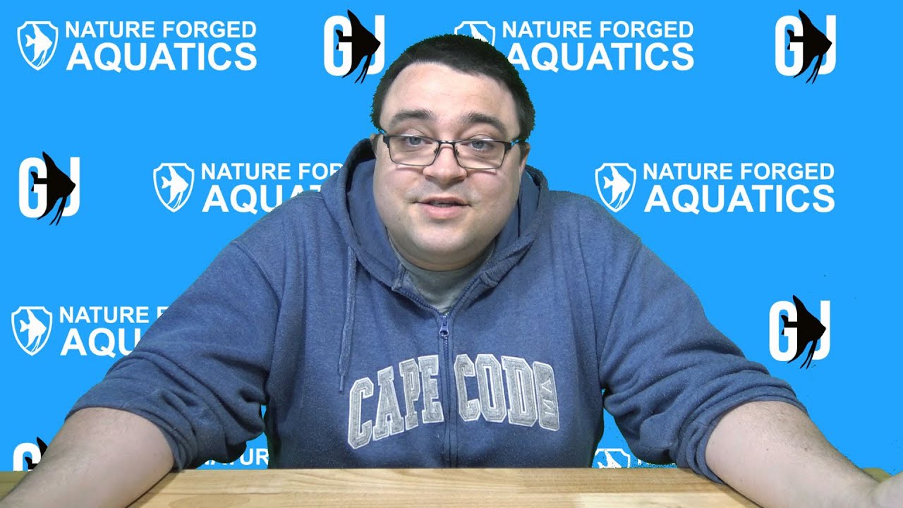 Introducing Nature Forged Aquatics! - Natural Aquarium Products Available on Amazon!