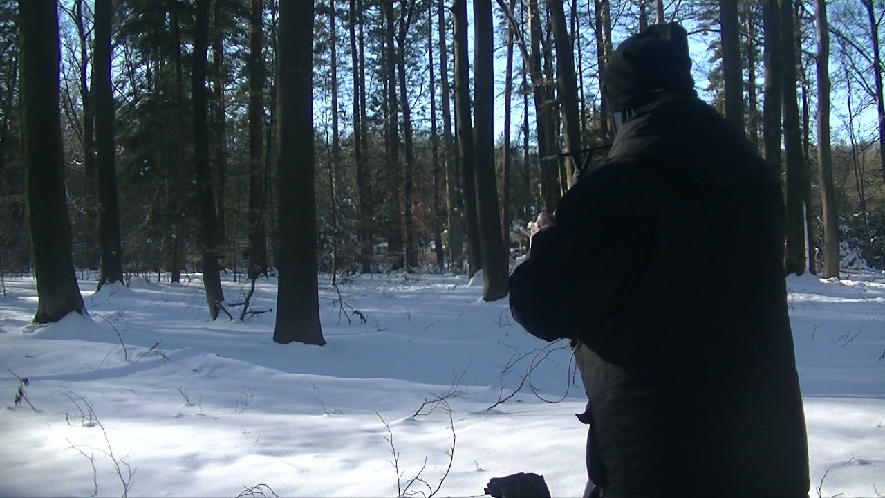 plein air painting trees in the snow